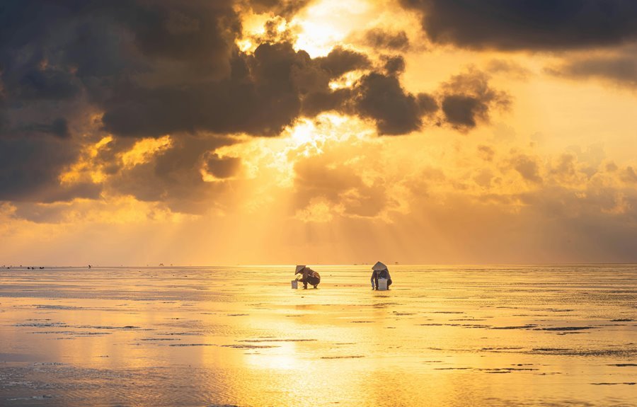 executive business intelligence overview